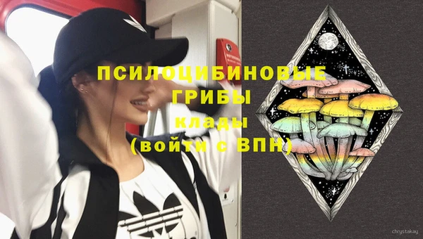 спайс Алексеевка