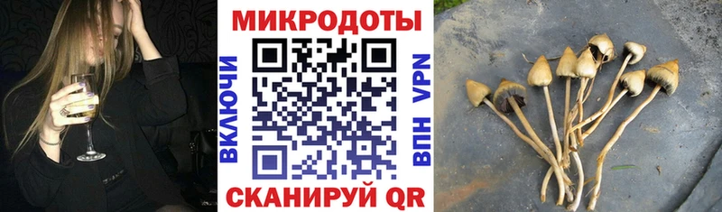 наркошоп  mega сайт  Псилоцибиновые грибы GOLDEN TEACHER  нарко площадка состав  Красноярск 