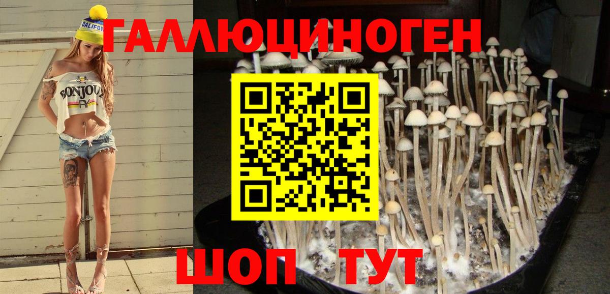 Псилоцибиновые грибы Cubensis Красноярск