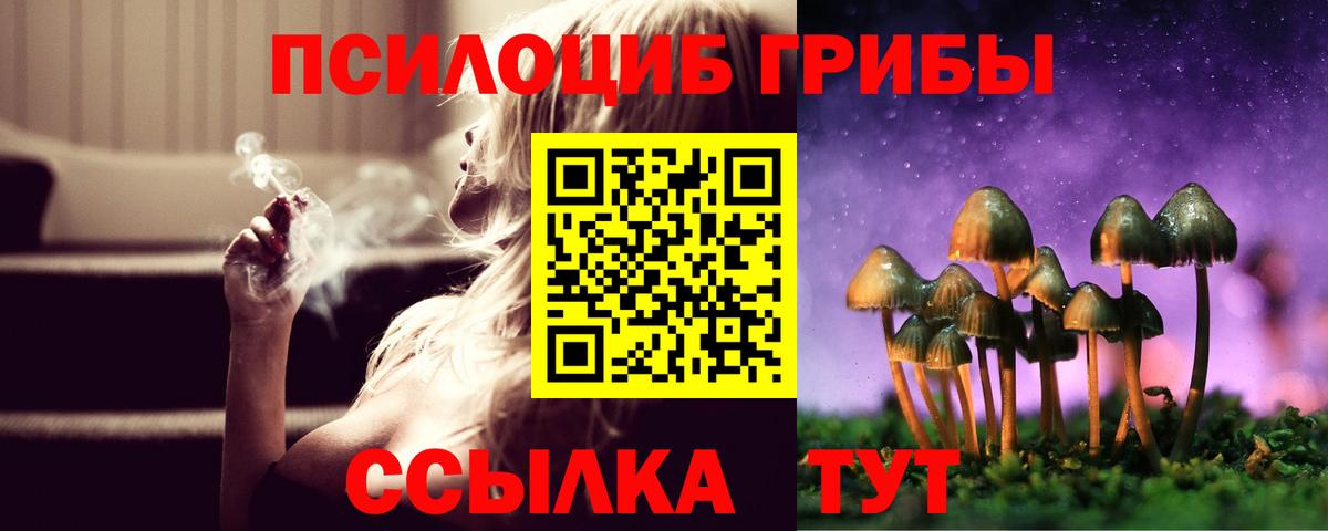 Красноярск  Галлюциногенные грибы мухоморы  Псилоцибиновые грибы ЛСД  Вход с VPN 